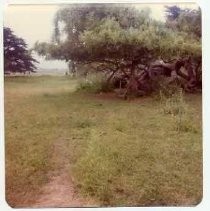 Photographs of landscape of Bolinas Bay