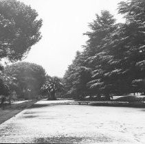 Snow in Capitol Park