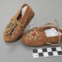 Moccasin