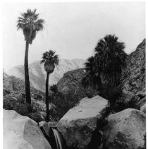 View of the Anza-Barrego Desert State Park