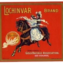 Lochinvar Brand