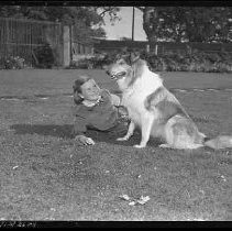 Negative, Safety, Unknown