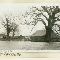 Print, Photographic, Black and White