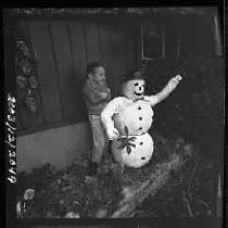 Negative, Safety, Unknown