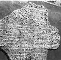 Negative, Safety, Unknown