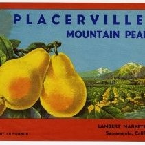 Placerville Mountain Pears