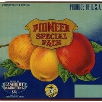 Pioneer Special Pack