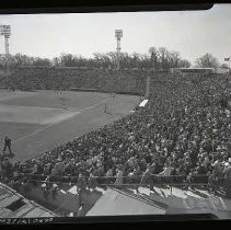 Negative, Safety, Unknown