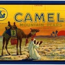 Camel Brand Mountain Pears