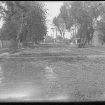 Negative, Glass Plate
