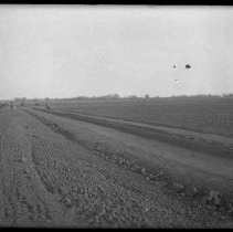 Negative, Glass Plate