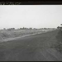 Negative, Safety, unknown