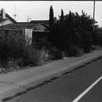 Fence with overgrown weeds and plants