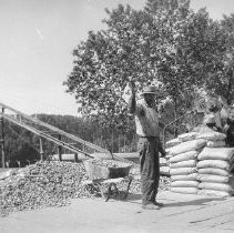 Garden Highway Bridge Construction