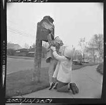 Negative, Safety, Unknown