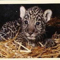 Sacramento Zoo