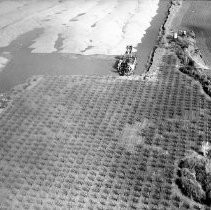 Print, Photographic, Black and White