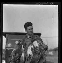 Hunter with dead geese