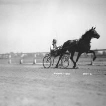 Harness Racer — Calisphere
