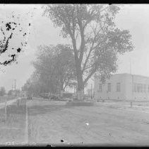 Negative, Glass Plate