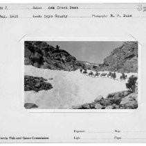 Photographs from Wild Legacy Book. "Oak Creek Pass, Inyo County, Aug. 1916