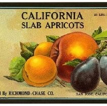 Callifornia Slab Apricots