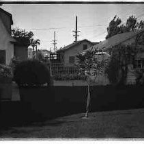 Back yard and garage