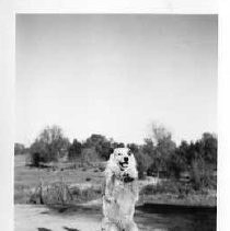 Littlefield's at Sutter Creek, Amador County