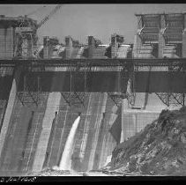 Negative, Safety, Unknown