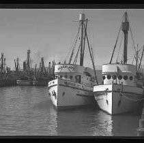 A fishing fleet