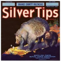 Silver Tips Brand