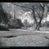 Land Park Pond