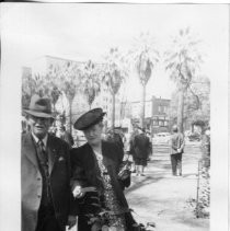 Camellia Grove, Capitol Park, March 8, 1940--from the scrapbook "Flora Schmittgen: This Is Your Life - April 7, 1955