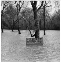 Flooded Trailer Park