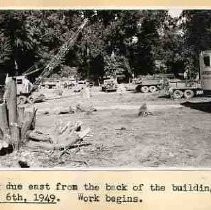 Removal of trees in Capitol Park