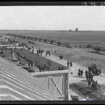 A long line of bi-wing airplanes parked