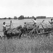 Harvesting Hay