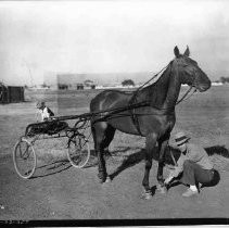 Harness Racer