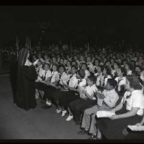 Negative, Safety, Unknown