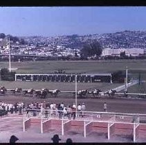 Golden Gate Fields racehorse track