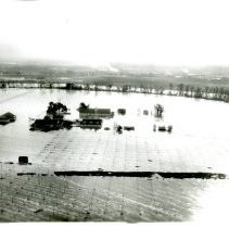 Print, Photographic, Black and White