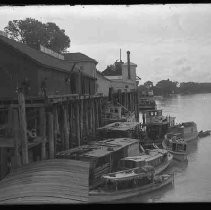 Sacramento River Scene