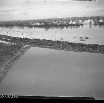 Negative, Safety, Unknown