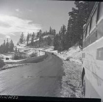 Negative, Safety, Unknown