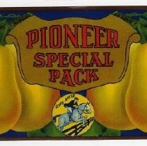 Pioneer Special Pack