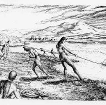 Photographs from Wild Legacy Book. Illustration,llustration, natives fishing with nets