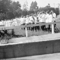 Rebel Cork Bennevolent Ass. annual picnic