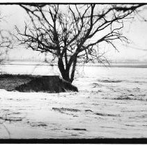 Cache Creek Levee Break