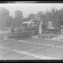 Fruit being dried