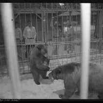 Negative, Safety, Unknown